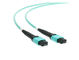 12 le câble du brin MPO MTP a adapté la longueur aux besoins du client type de mâle de 33 pieds/connecteur femelle